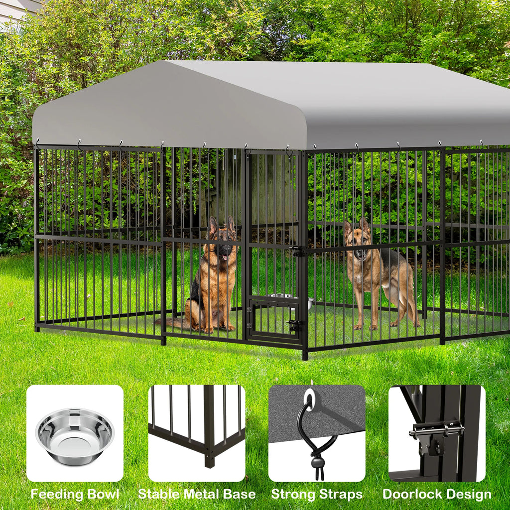 Outdoor Dog Kennel with Safety Locks & Cover