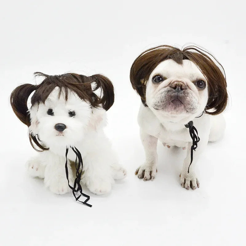 Dog Wigs