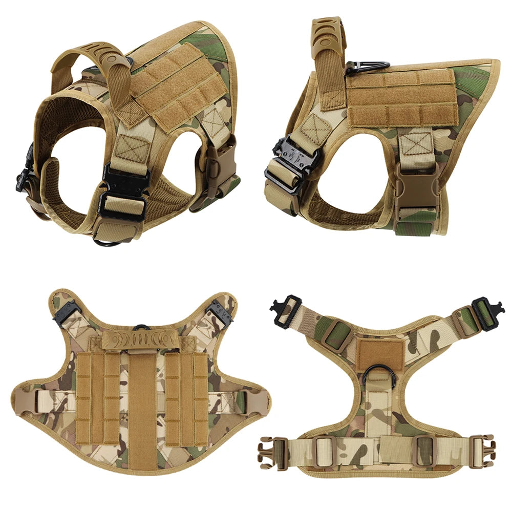 Large Dog Harness and Collar