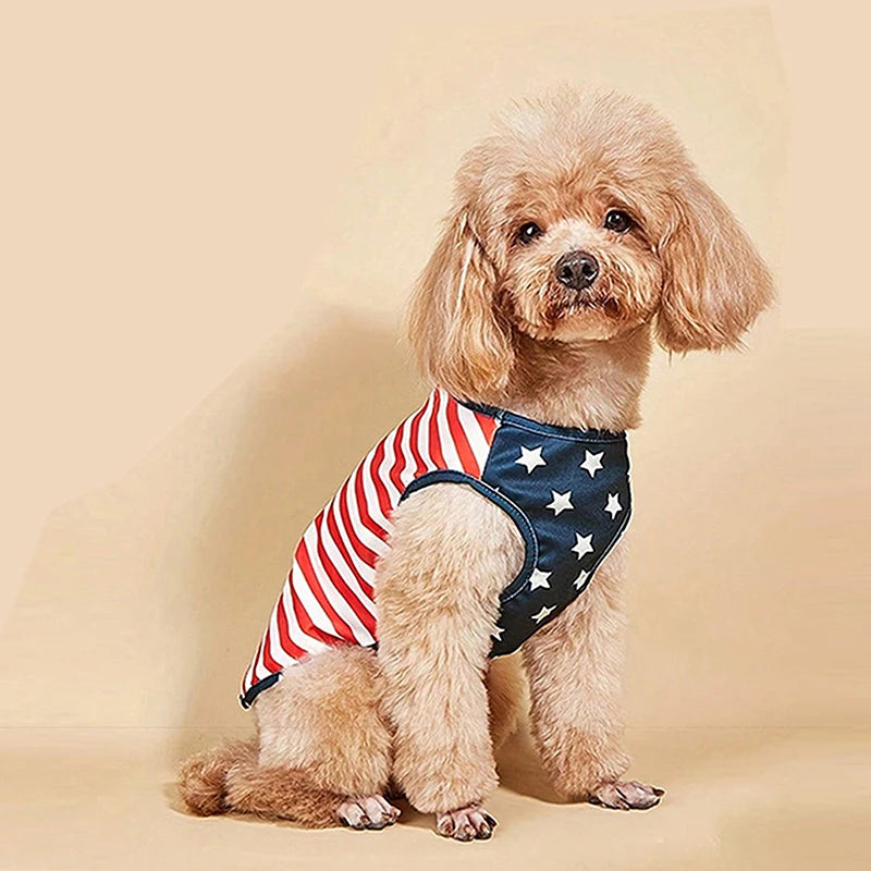American Flag Dog Bandana Scarf Set