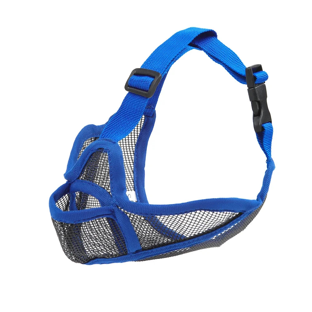 Short-Snouted Dog Muzzle