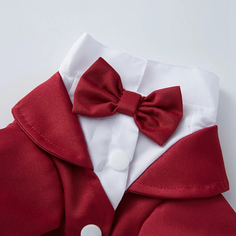 Pet Dog Tuxedo Suit