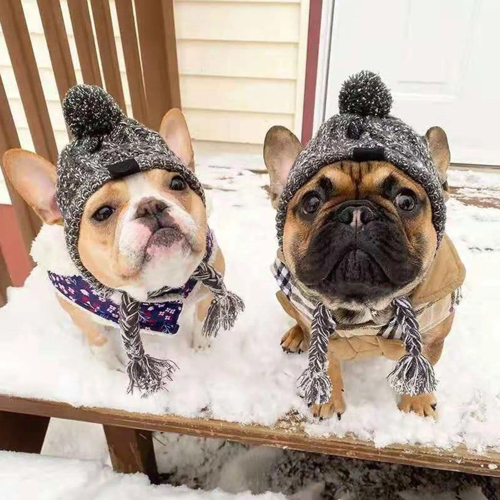 Warm Winter Dog Hats