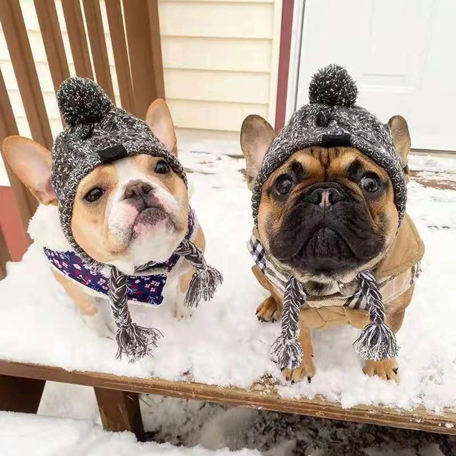 Warm Winter Dog Hats