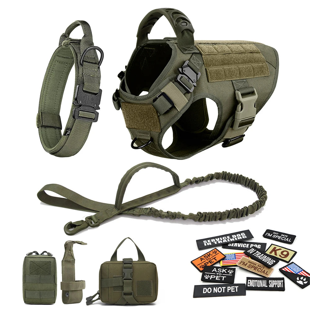 Large Dog Harness and Collar