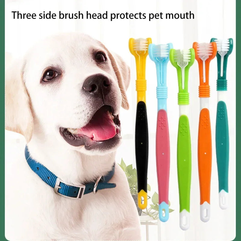 Three Sided Pet Toothbrush
