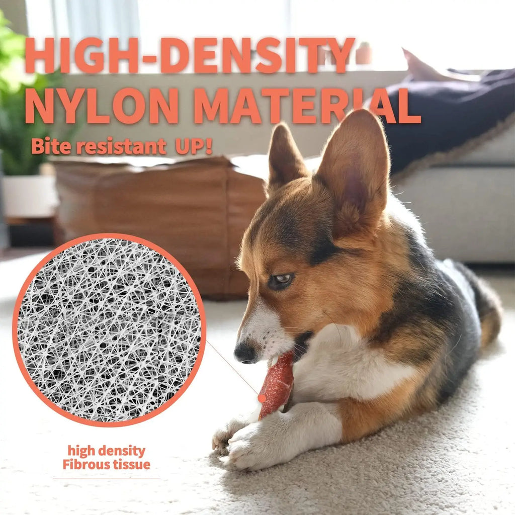 Aggressive Chewers Super Nylon Bone (Beef Flavor)