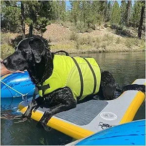 Dog Water Ramp