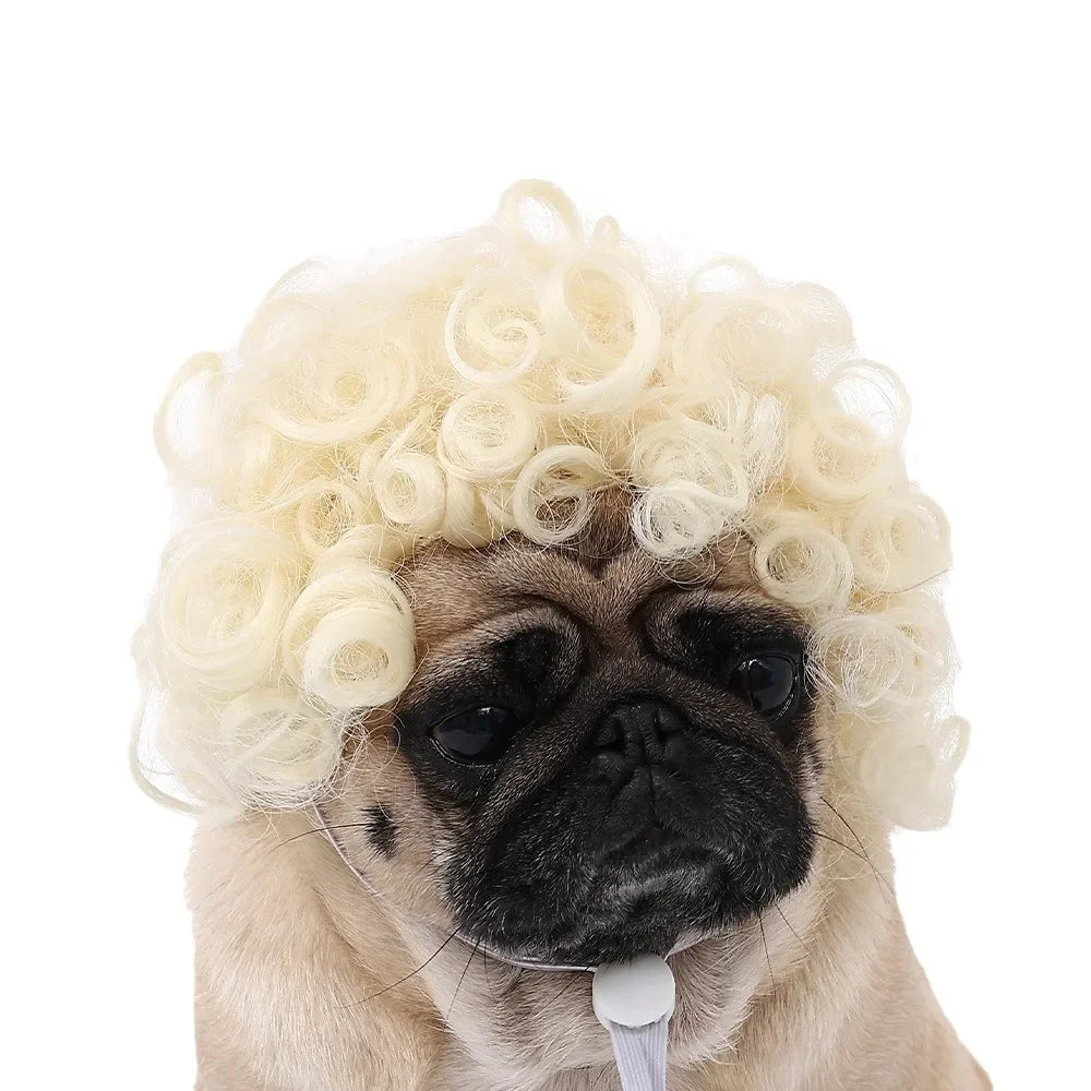 Dog Wigs