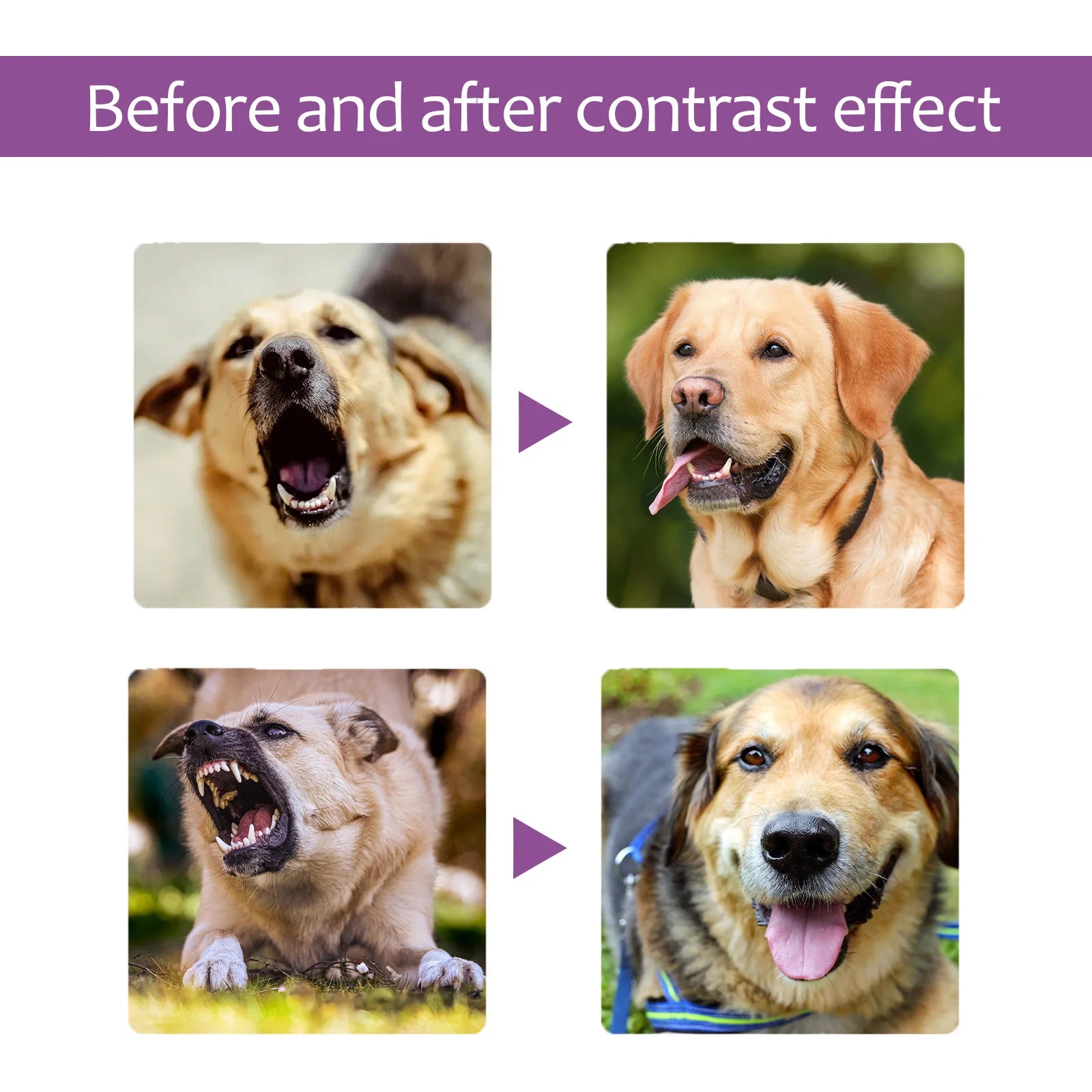 Reduce Excitability Pet Spray Relief