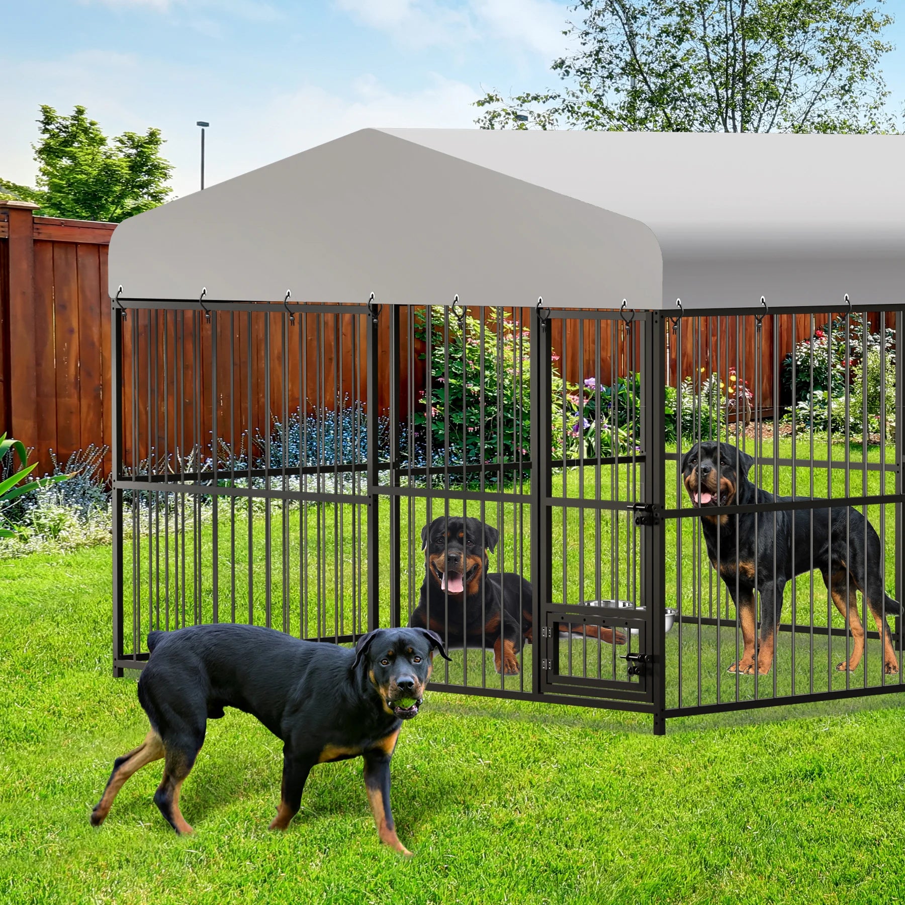 Outdoor Dog Kennel with Safety Locks & Cover