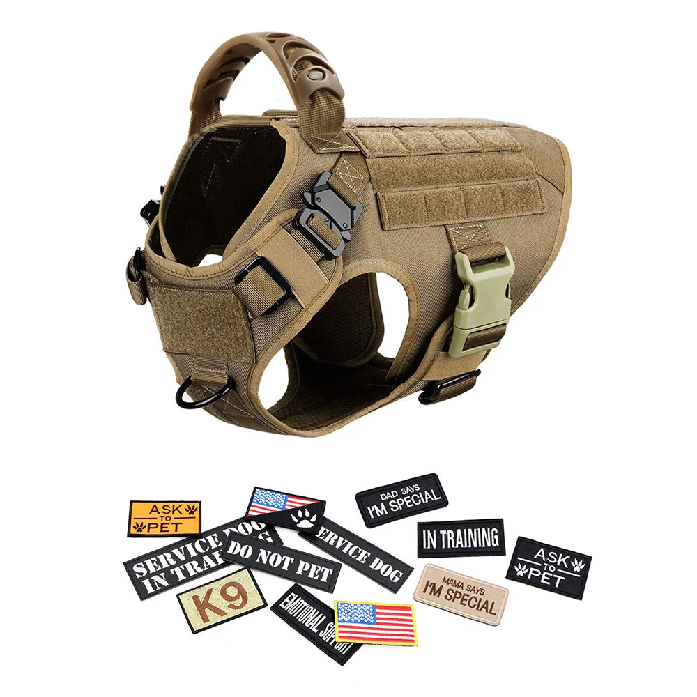 Large Dog Harness and Collar
