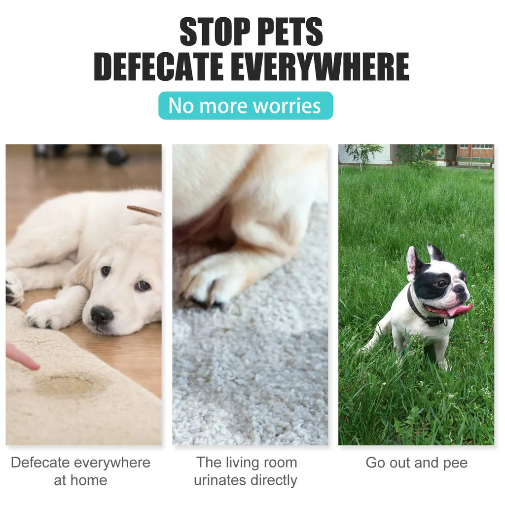 Dog Cat Training Defecation Inducer Spray