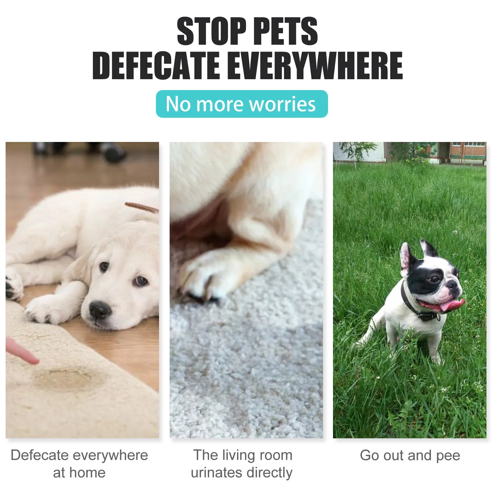 Dog Cat Training Defecation Inducer Spray