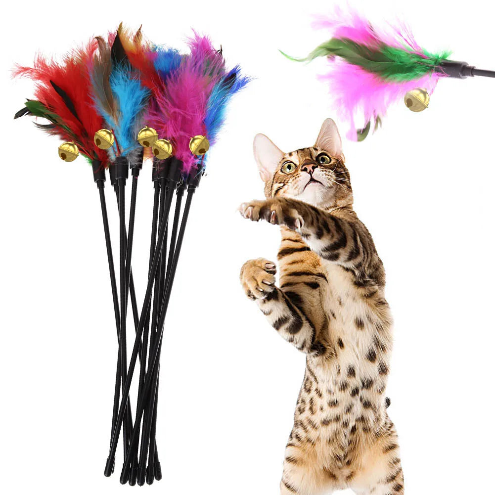Motion Activated Interactive Cat Toy  ﻿